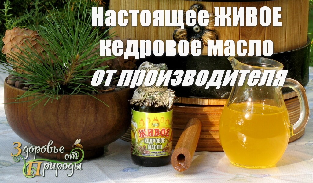 Где купить настоящее кедровое масло хорошее